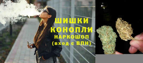 СК Абинск