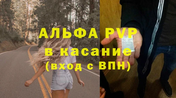 СК Абинск